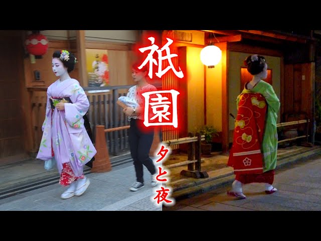 Kyoto Gion Geisha district/Maiko girls/september 4 2023