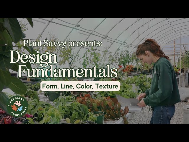 Fundamentals of Houseplant and Landscape Design: Form, Line, Color, Texture