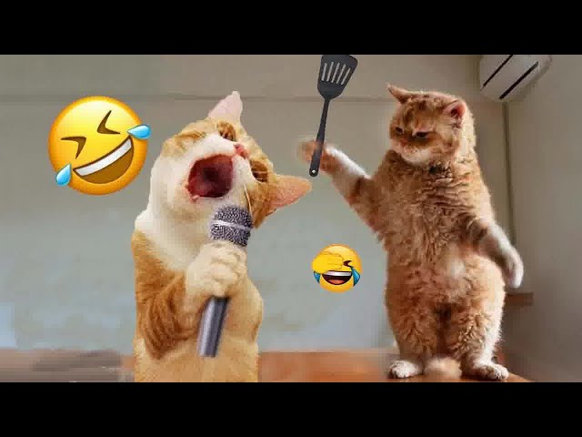 You Laugh You Lose 😜Funniest Dogs and Cats 2024 😻🐶