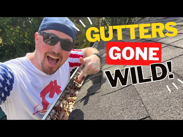 Pro Tips: Mastering Gutter Cleaning