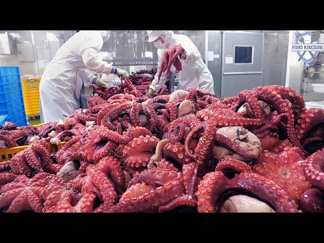 Interesting process! Korean seafood processing plant - Seafood restaurant