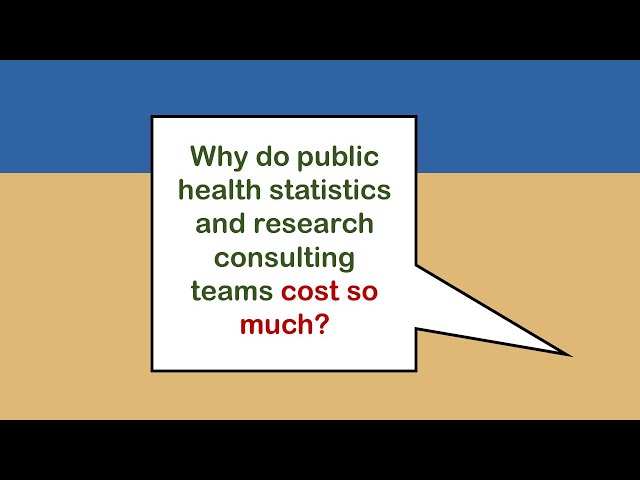 Why Public Health Statistics and Research Consulting Companies Cost So Much