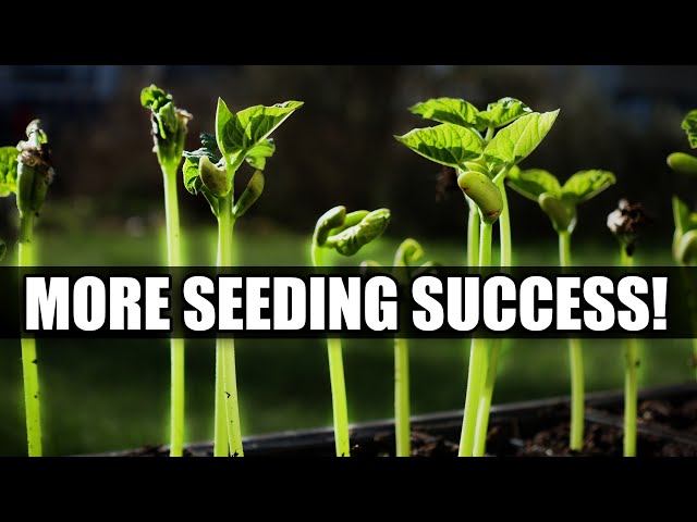 7 Pro Seed Starting Tips