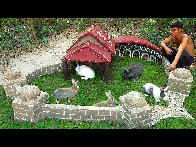 Help rabbits from the wilderness to feed and build beautiful mud houses for them