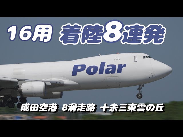 【4K】成田空港 十余三東雲の丘 強風の中着陸する飛行機８連発