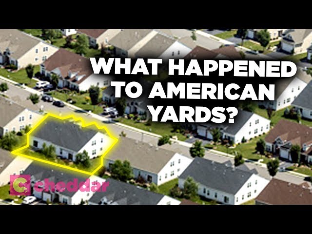 Why American Yards Are Shrinking - Cheddar Explains