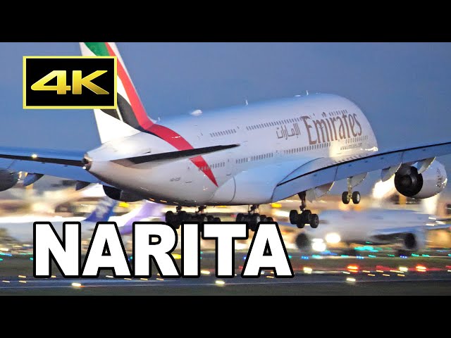 [4K] 1 hour plane spotting movie at Tokyo Narita Airport in autumn 2023 / 秋の成田空港 JAL ANA