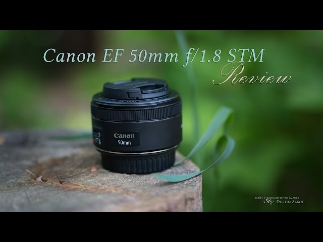 Canon EF 50mm f/1.8 STM Lens Hands-On Review - Bargain Excellence!