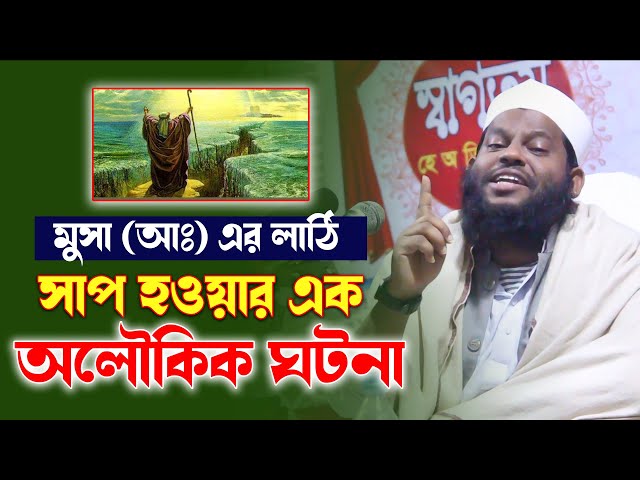 মুসা (আঃ) এর লাঠির অলৌকিক ঘটনা ও খমতা। Islamic Life Media। Quri Asad Bangladesh