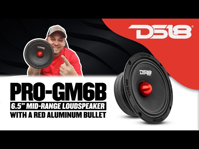 DS18 PRO-GM6B 6.5" Mid-Range Loudspeaker with Bullet