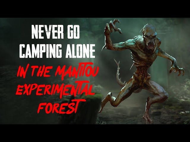 "The Experimental Forest" | Creepypasta | Horror Story