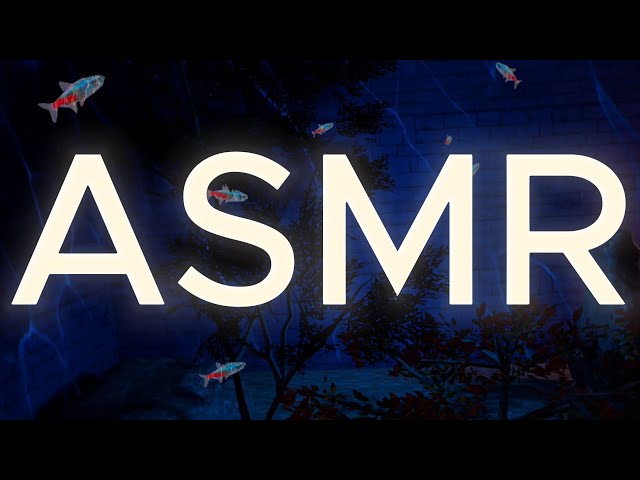 ASMR REVERB SOUNDS | SOFT SPOKEN WHISPERS