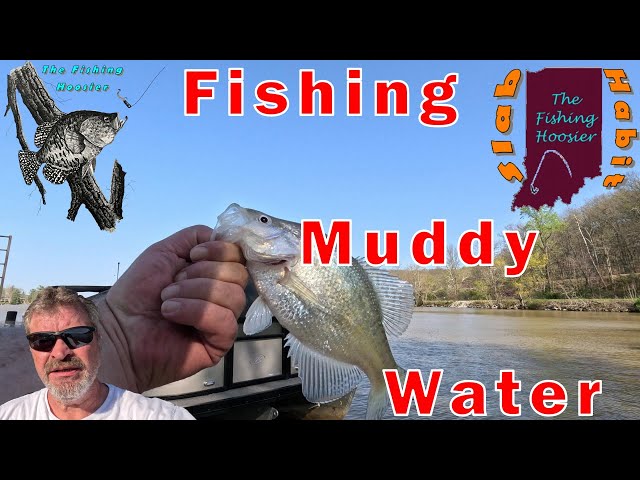 Fishing Muddy Water for Crappie! #fishing #fish @thefishinghoosier