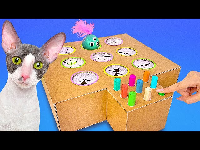 2 DIY Crafts For Your Cat || Cardboard Food Dispenser And Whack-a-Mole Toy