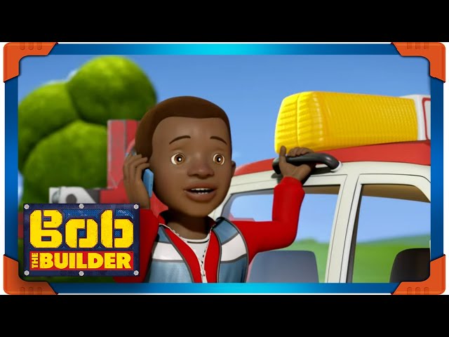 Bob the Builder | Leo's BIG DAY! | New Cartoons for Kids