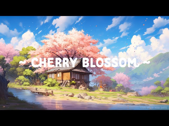 Cherry Blossom 🌸 Lofi Keep You Safe 🍁 Lofi Songs for Study//Work [ Lofi Hip Hop / Lofi Music ]