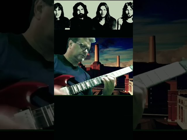 Pigs (Three Different Ones) Pink Floyd #shortsmusic #pinkfloyd #videosrock #classicrock #guitar