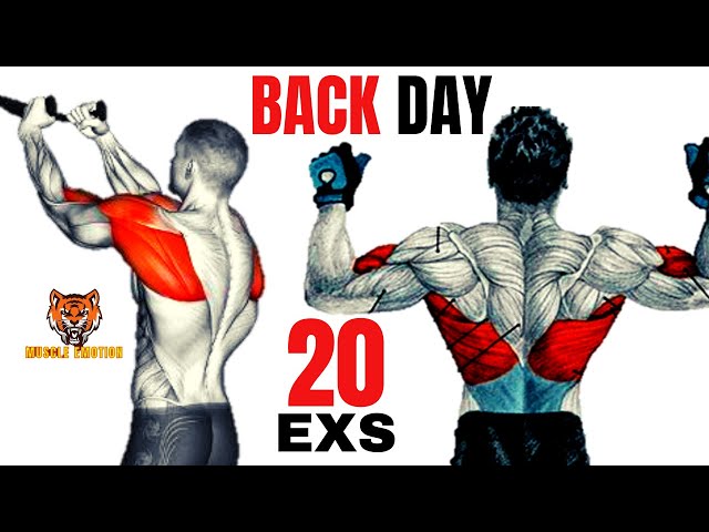 20 BEST BACK EXERCISES TO GET BIGGER BACK FAST / MUSCULATION DOS RÉSULTAT RAPIDE