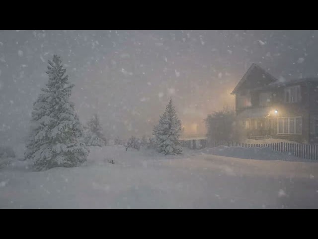 Howling Wind Sounds for Mind and Body Healing - Snowstorm Ambience to Sleep and Relax Deeply