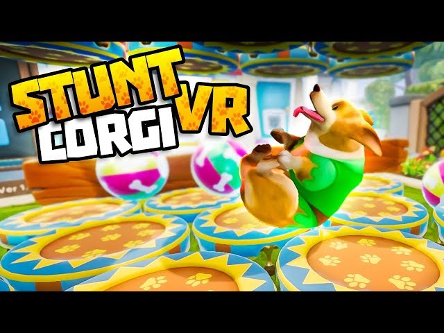 CAN JERRY SURVIVE THE TRAMPOLINE GAUNTLET?! - Stunt Corgi VR Gameplay - VR HTC Vive Gameplay