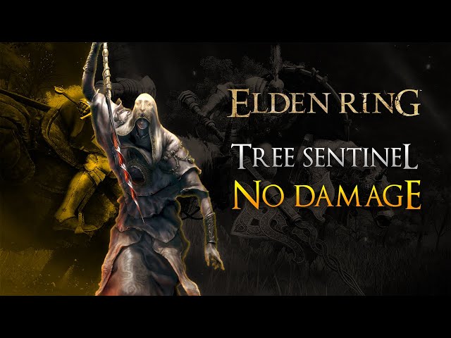 Tree Sentinel Boss fight [No Damage][No Cheese]