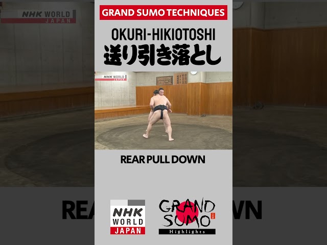 #Sumo Technique: OKURI-HIKIOTOSHI