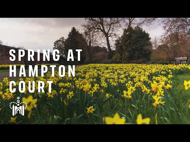 Hampton Court Palace Gardens: Spring