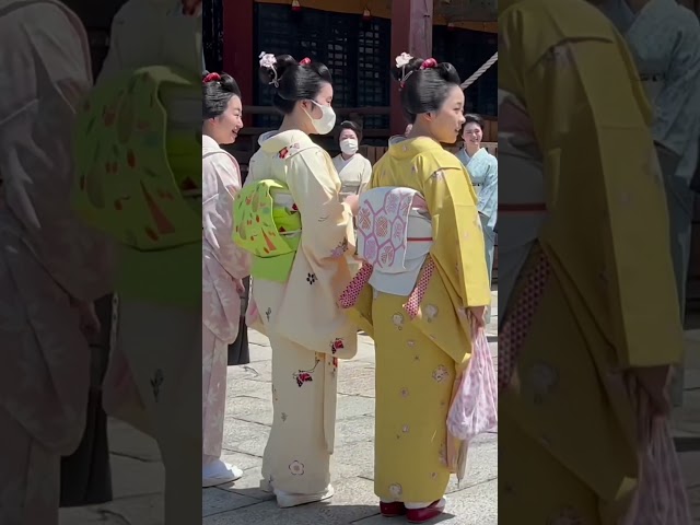 八坂神社で芸舞妓さんらの挨拶シーン #京都 #舞妓