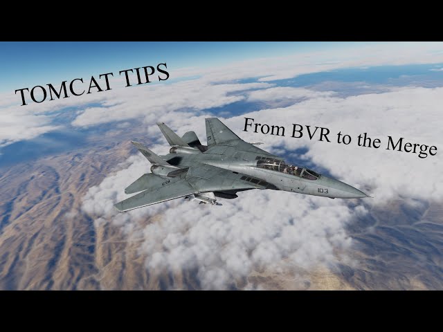 Shiny's DCS Tomcat Tips: From BVR to the Merge