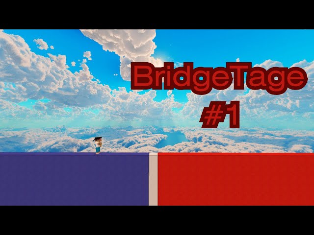 BridgeTage #1
