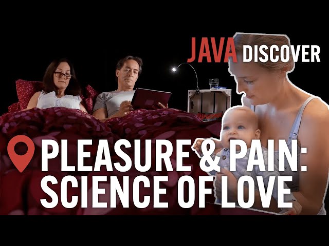 pleasure and pain  the science of love Original [correct]