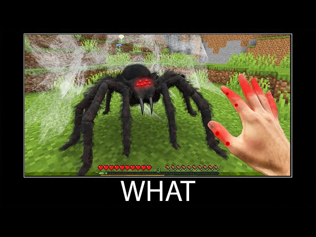Minecraft wait what meme part 289 realistic minecraft Spider