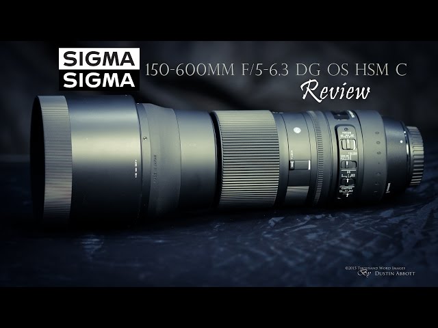 Sigma 150-600 f/5-6.3 OS  Contemporary Super Telephoto Review