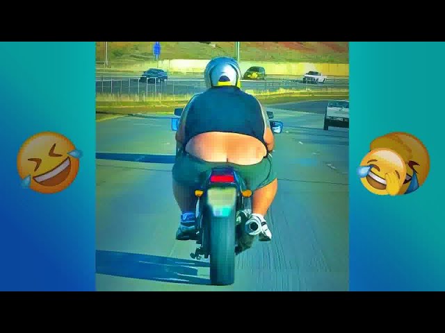 TRY NOT TO LAUGH 🐕 Best Funny Video Compilation 😂🤣 Funny Memes 2024 #4
