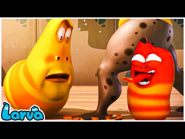 LARVA FULL EPISODE | NEW CARTOON MOVIES | THE BEST OF CARTOON BOX | COMEDY VIDEO TOP 55 OF 2022