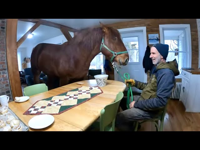 WHY is there a HORSE IN THE HOUSE?? // Coffee Break with Earl!! #412