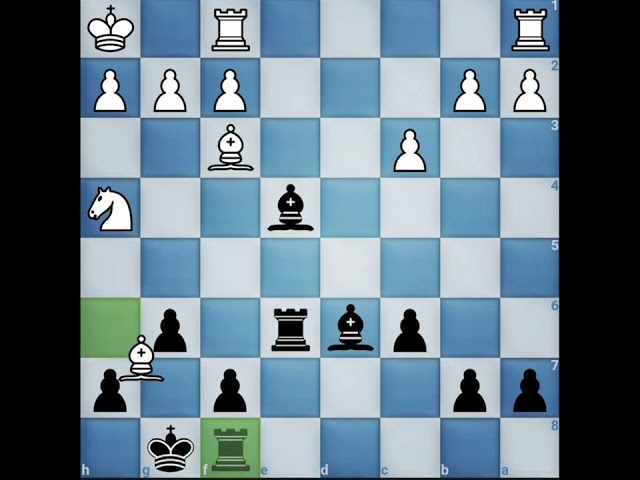 155 Elo Agadmator vs Gothamchess chess game #chess #shorts