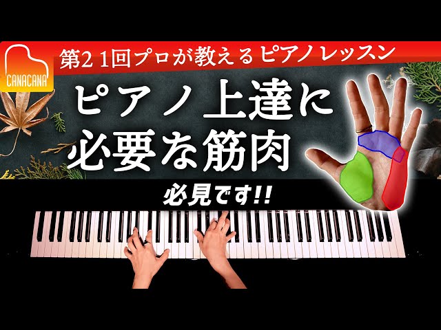 必見！ピアノ上達のために必要な筋肉【第21回プロが教えるピアノレッスン】 CANACANA Piano Lesson#21