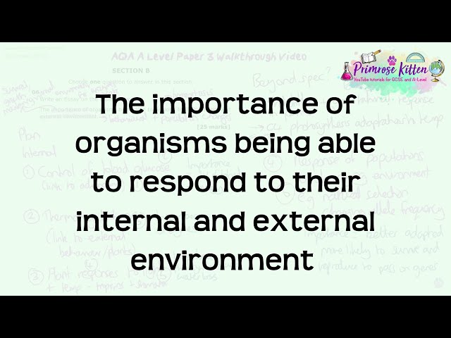 The importance of organisms being able to respond to their internal and external environment