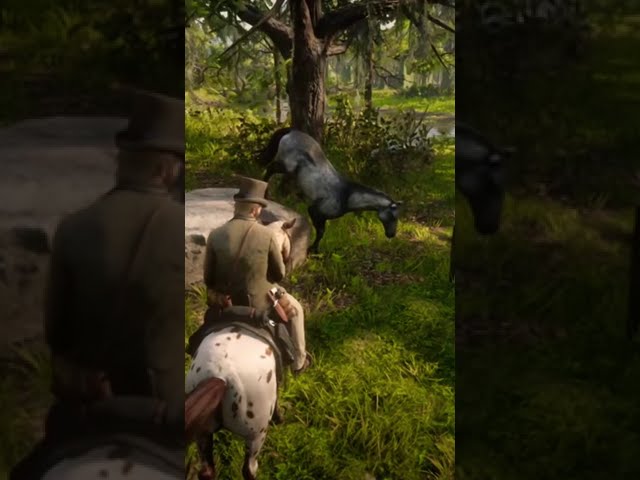 What In The Wild Wild World Is Going On Here Bro? | RDR2 #shorts
