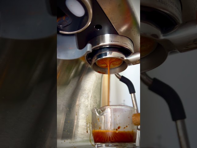 Espresso com grão COCATREL comprado na Amazon e torrado na panela... #espresso #coffee #viral