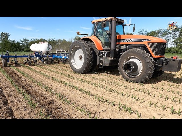 Applying Anhydrous Ammonia in a Corn Field with a Agco DT240 Tractor