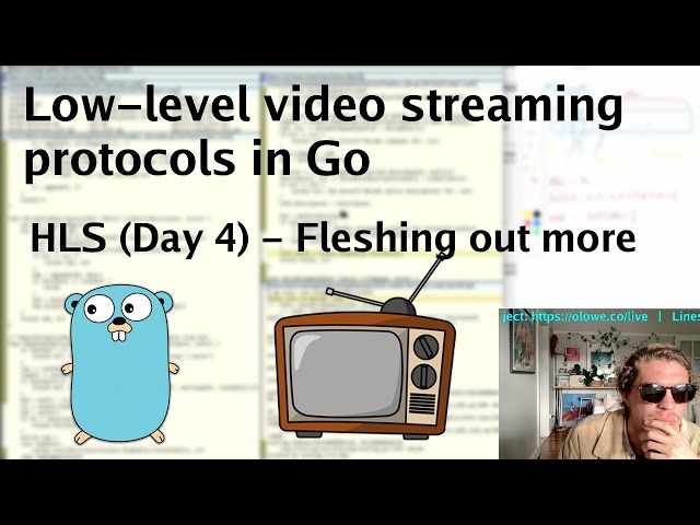 Low-level video streaming protocols in Go: HLS (Day 4) - Fleshing out more