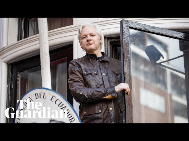 Superfans, boiled sweets and Pamela Anderson: ​six years spying on Julian Assange