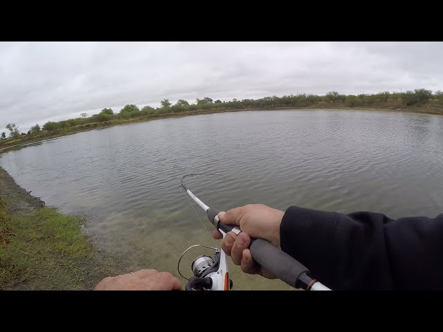 Small Pond Fishing. Which Lures Work Best?  How to fish a pond in San Antonio