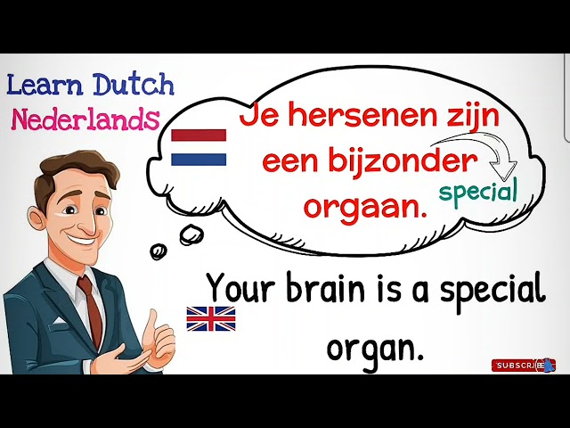 DUTCH PHRASES / NT2 nederlands leren #dutch #nederlandsleren #5