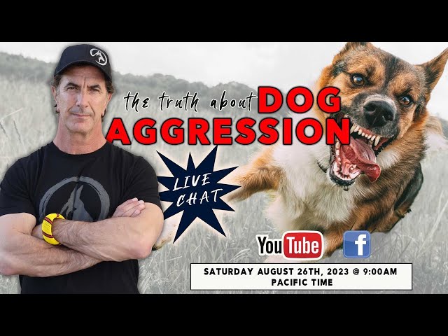 The Truth About Dog Aggression - LIVE