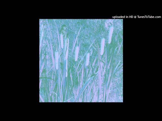 Ness - Carex [The Gods Planet]