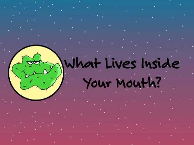 #NIDCR: What Lives Inside Your Mouth?