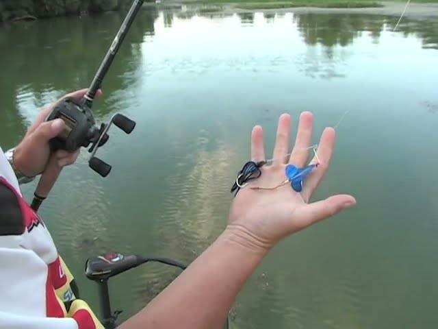 True Bass - Clear Lake - Bass Fishing